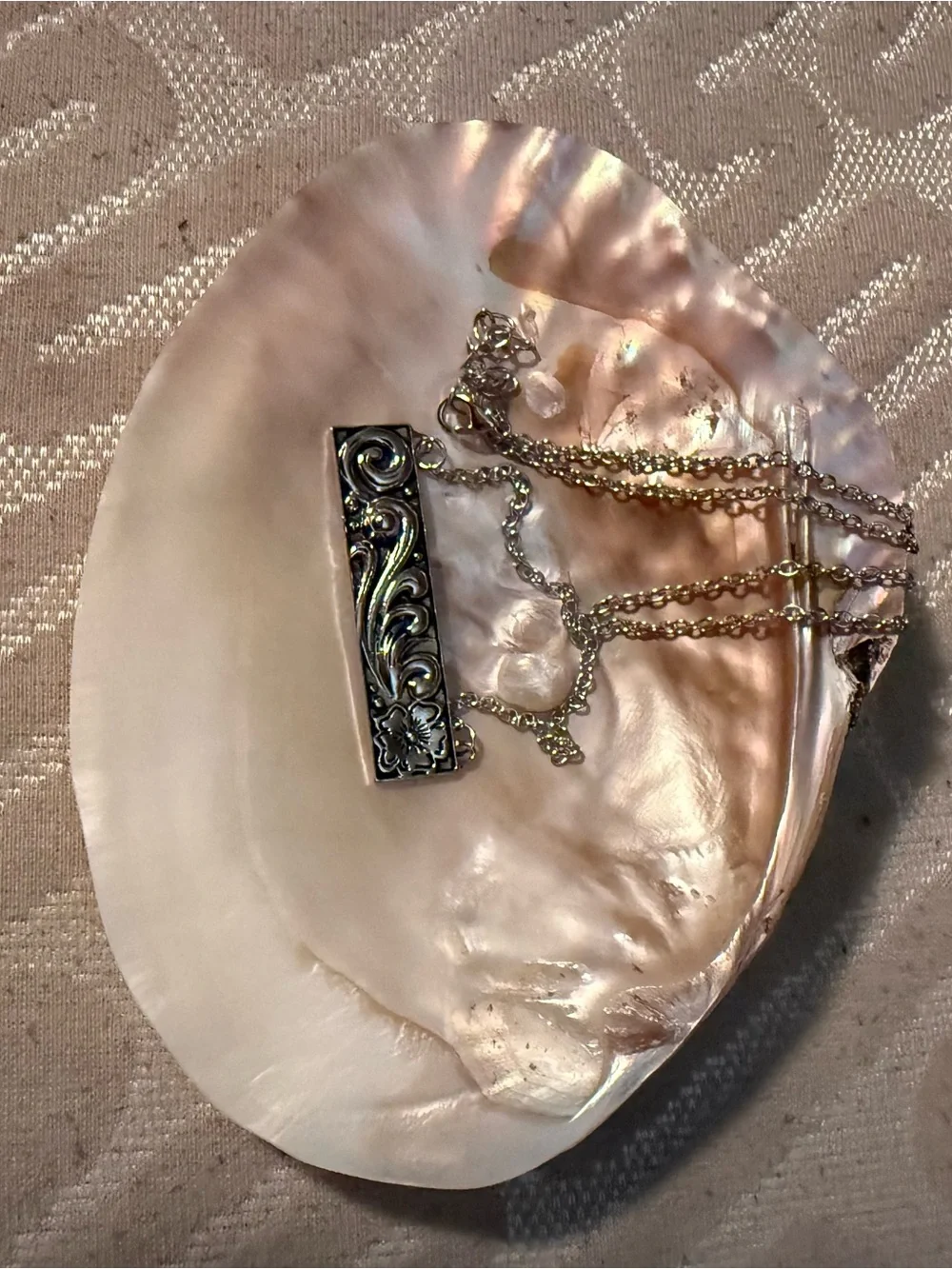 Shell jewelry tray